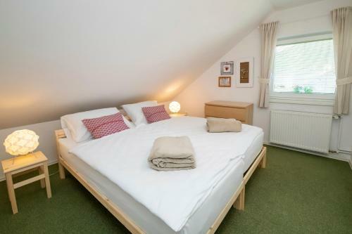 Apartmaji Rauter