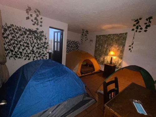 La Gaceta Camping & Backpackers