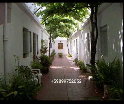 Apartamento Ronald