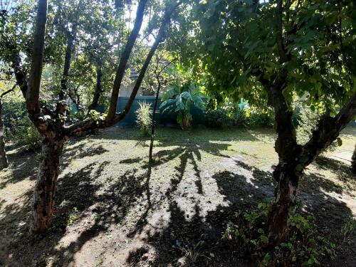 Apartamento Casa Verde