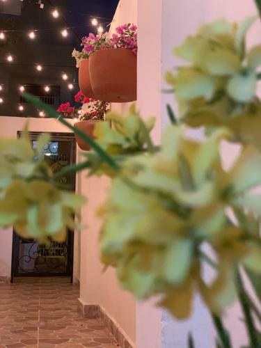 Hostal Le Marie B&B