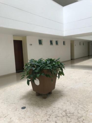 Apartamento Morros Con Acceso Directo A La Playa