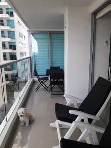 Apartamento Seway Morros Cartagena