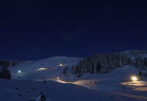 Lodge Ko?a Predilnica Velika Planina