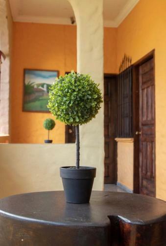 Hotel Condesa