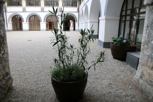Albergue Samostan Mekinje