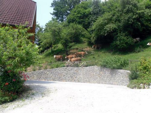 Apartmaji Hribar Pr'ostank