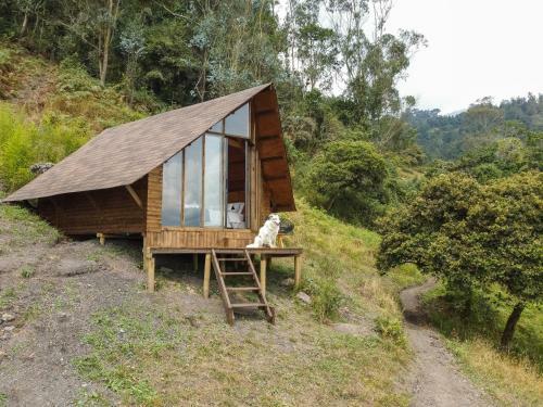 Bed & Breakfast Glamping C�spide