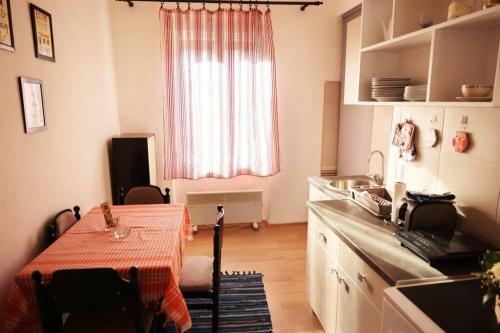Viki Apartment Centar