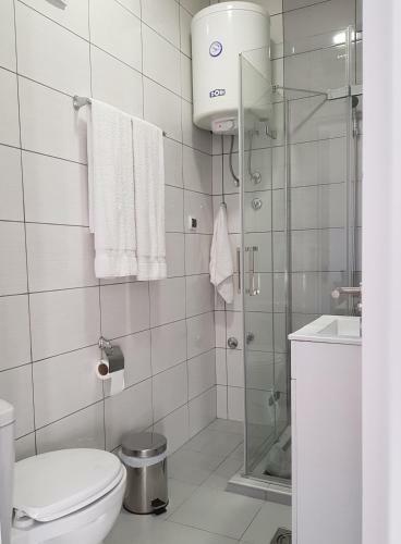 Kiki Apartment Obrenoviceva
