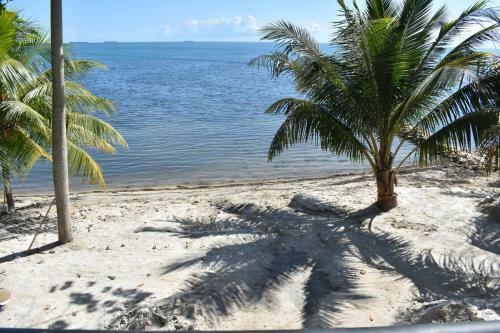 Apartamento Sunset Gecko Condo - 2b