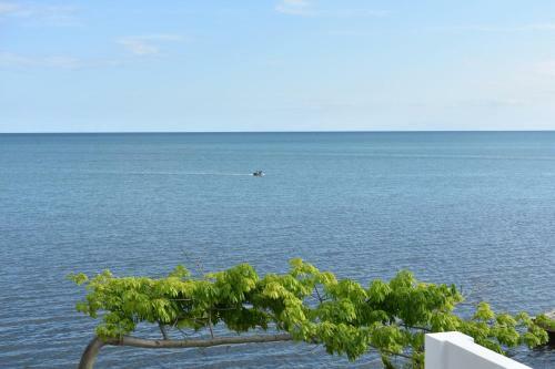 Apartamento Sunset Gecko Condo - 1b