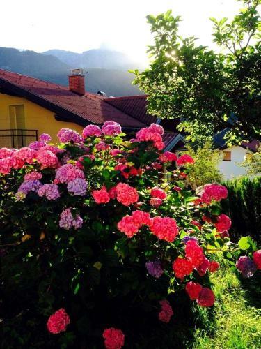 Cosy Cottage With Views Near Kobarid