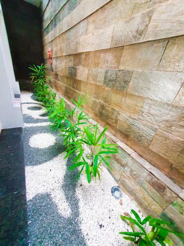 Sun Garden House Pr�ximo A Orla Da Atalaia