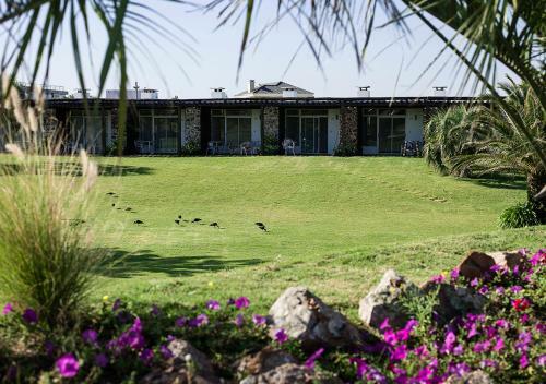 Hotel Tio Tom Arenas - All Inclusive