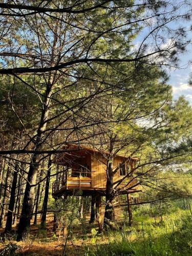 Treehouse Ecolodge