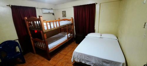 Hostal Tropical Dreams Hostel