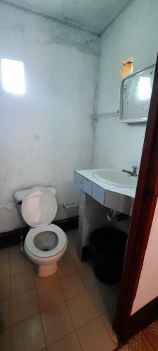 Hostal Tropical Dreams Hostel