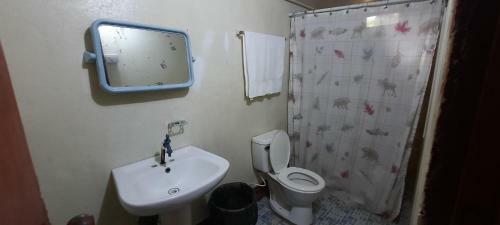 Hostal Tropical Dreams Hostel