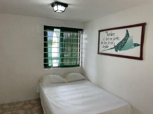 The Wave Hostel Corn Island