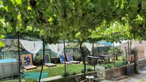 Residence Muzica Bed And Breakfast