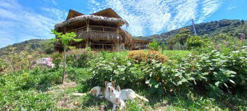Ecohotel Soplo Del Tambo
