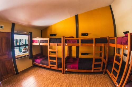 Albergue Wild Rover Cusco