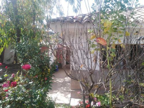 Bed & Breakfast Casita Santa Ana