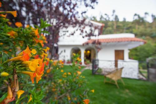Hostal Luna House Cusco