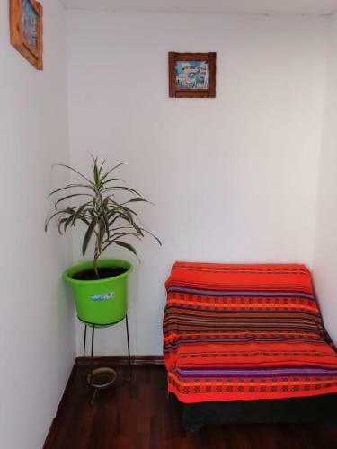 Albergue La Estacion San Pedro