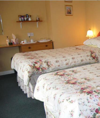 Bed & Breakfast Dove Lodge