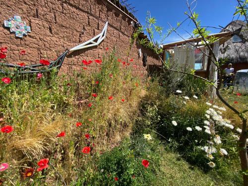 Bed & Breakfast Mountain House Casa de La Gringa