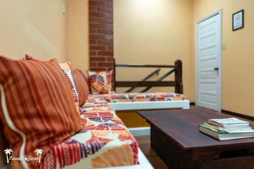 Albergue Yellow Belly Backpackers