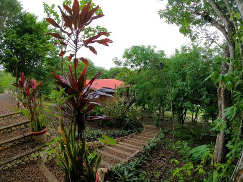 Hostal Santa Cruz Cabins