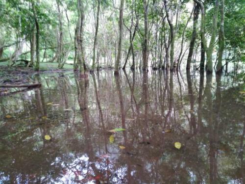 Hostal Makano Lake Caba�as