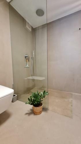 Apartamento Casa Nostra Capodistria