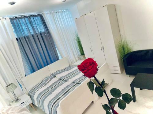 Apartma Obala
