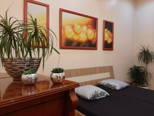 Dr Apartment