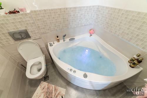 Apartmani Alexandar15