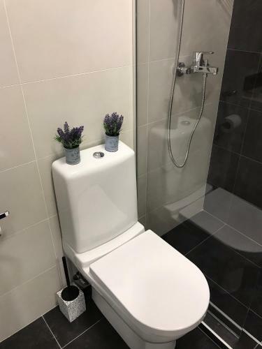 Apartment Sfera
