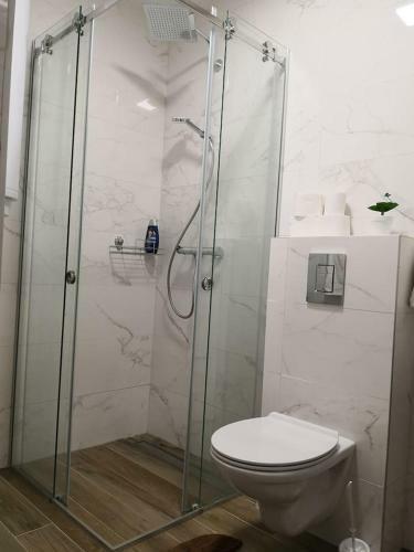 Apartamento Vasa Central Studio