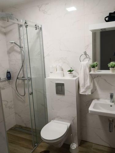 Apartamento Vasa Central Studio