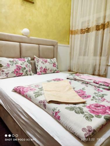 Albergue Top Location Free Wifi