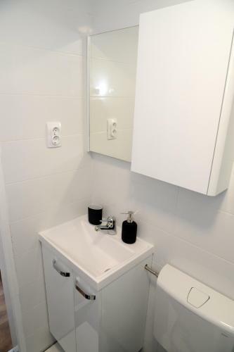 Apartment Krins