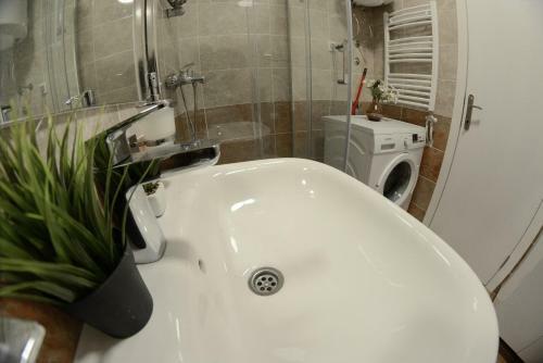 Apartment Dobraya Grey