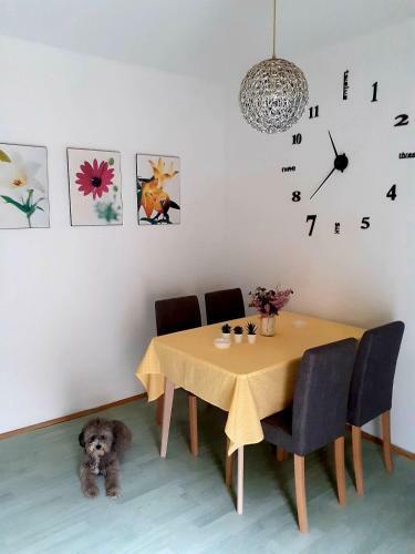 Apartman Danube