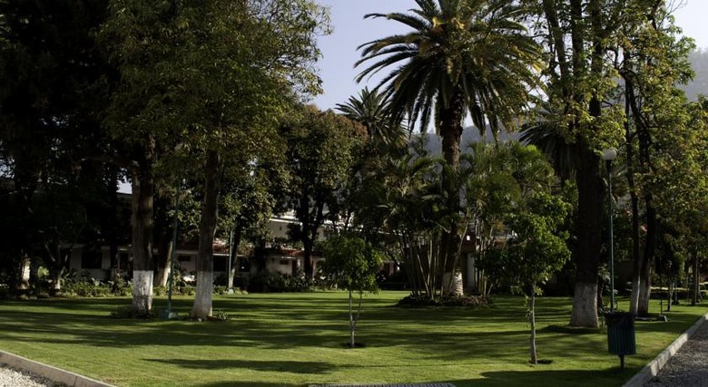 Hotel Los Olivos Spa