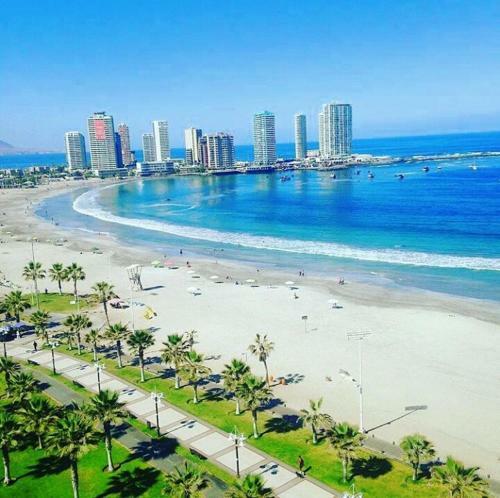 Apartamento Cavancha Arenas