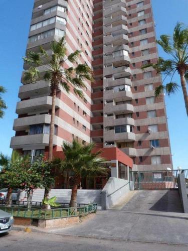 Apartamento Cavancha Arenas