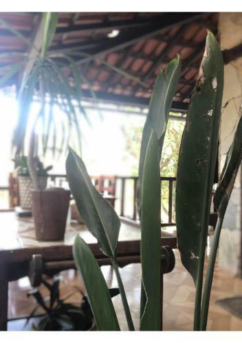 Bed & Breakfast Peixe Crew Gerib�